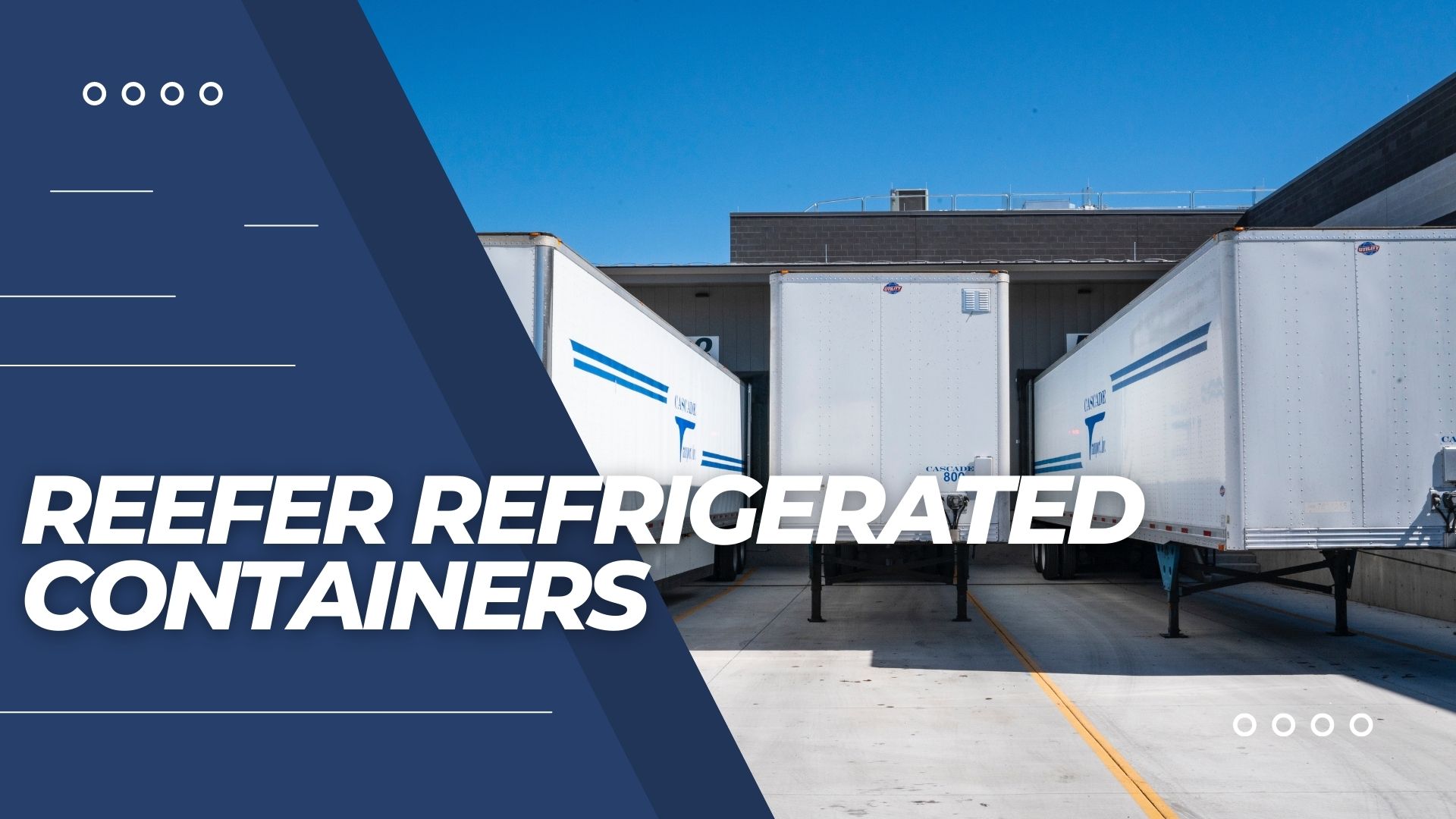 Reefer Refrigerated Containers DJAAGOUA